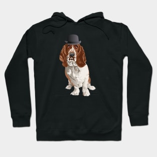 Basset Hound Dog T-Shirt for Dog Lovers Hoodie